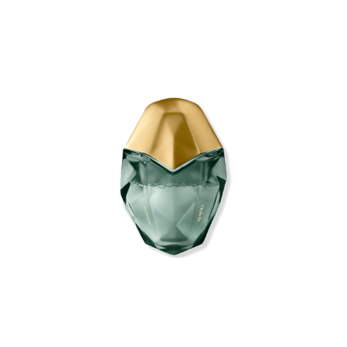 SALTED MUSE PARFUM
